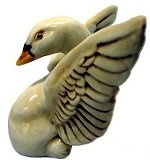 Swan